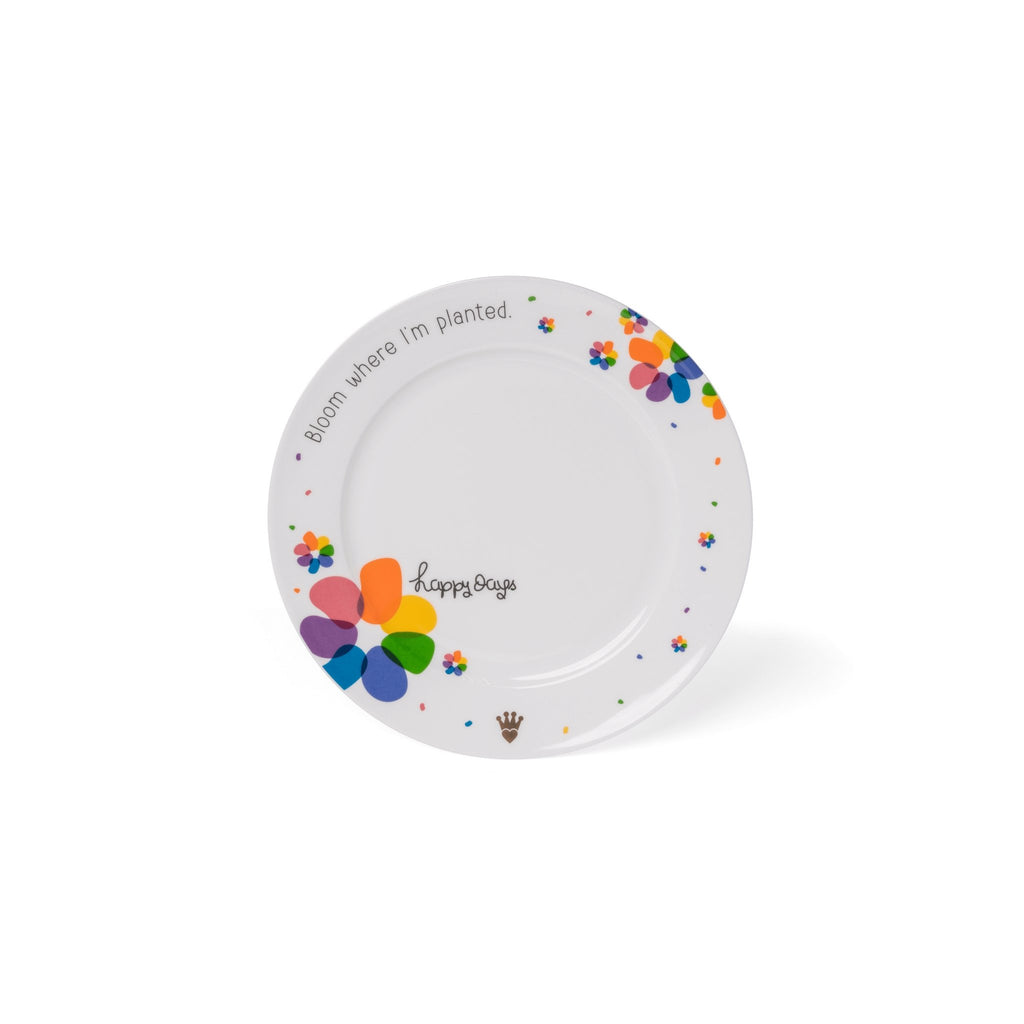 Premium fine bone china plates rainbow collection unique christian gift